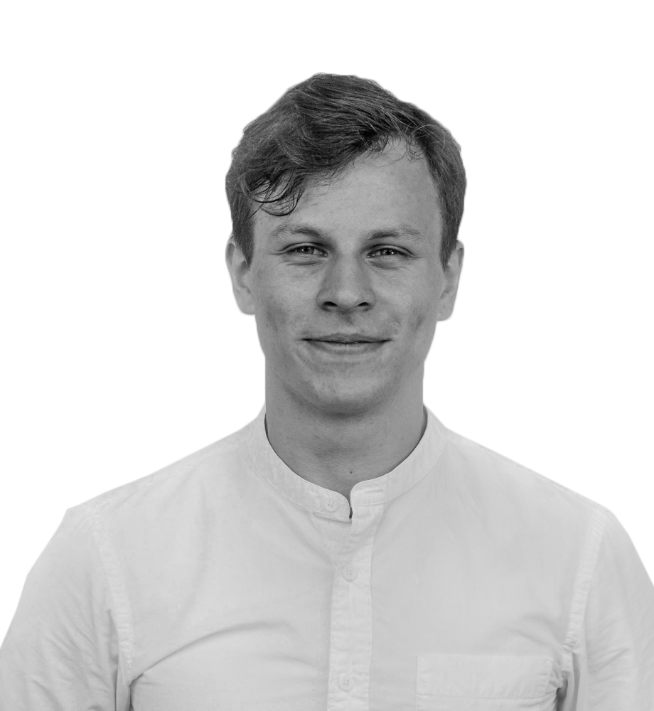 Vytautas Dominykas Leipus